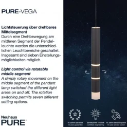 Paul Neuhaus PURE Vega LED Pendelleuchte schwarz 1 flammig mit Lichtmodi