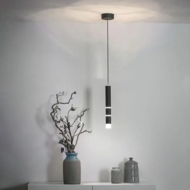 Paul Neuhaus PURE Vega LED Pendelleuchte schwarz 1 flammig mit Lichtmodi