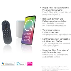 Paul Neuhaus, Q-AMIRA, LED-Deckenleuchte, schwarz-messing, Smart Home