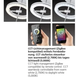 Paul Neuhaus, Q-AMY, LED-Deckenleuchte, stahlfarben, Smart Home (Auslauf)