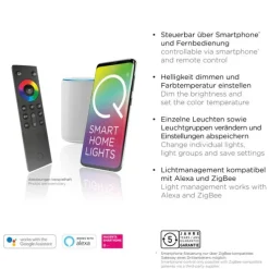Paul Neuhaus, Q-HANNES, LED-Stehleuchte, verstellbar, dimmbar, Smart Home